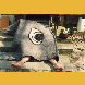 „Augenschlafsack Waldpaßauf” Filz Schlafsack für einen Waldschlaf 1994
